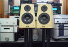 HIMSOUND B620 북셀프 스피커